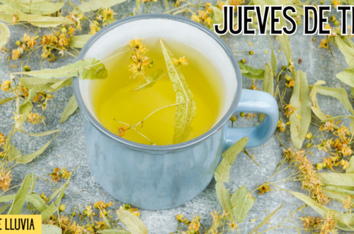 Jueves de tila