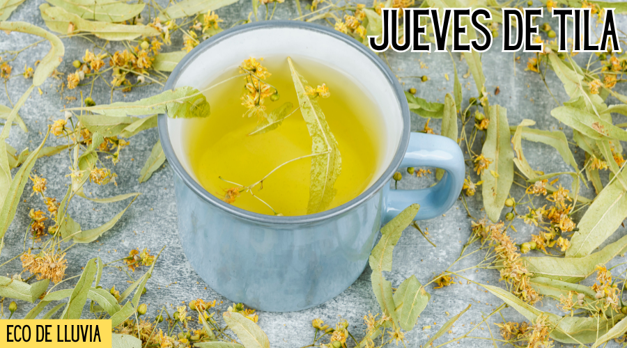 Jueves de tila